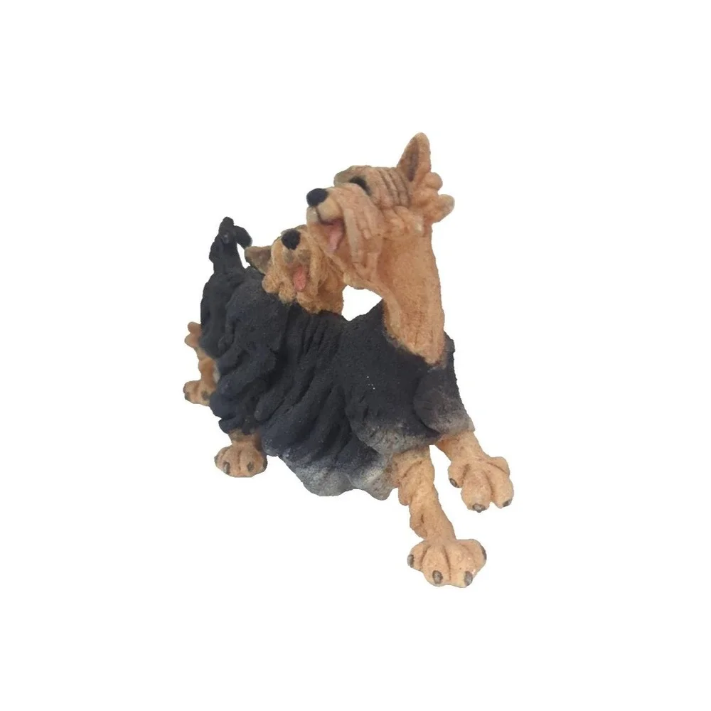 A Breed Apart  Yorkie Pair Junior 8